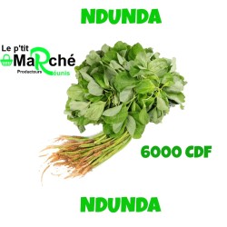 Ndunda